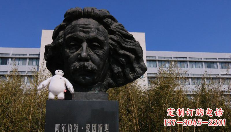 湖南爱因斯坦头像铜雕222