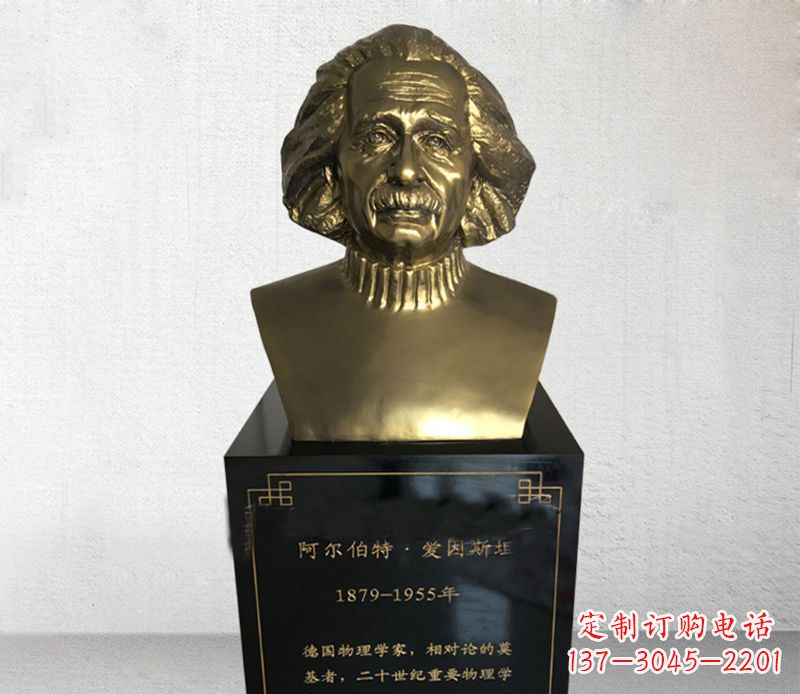湖南爱因斯坦胸像铜雕