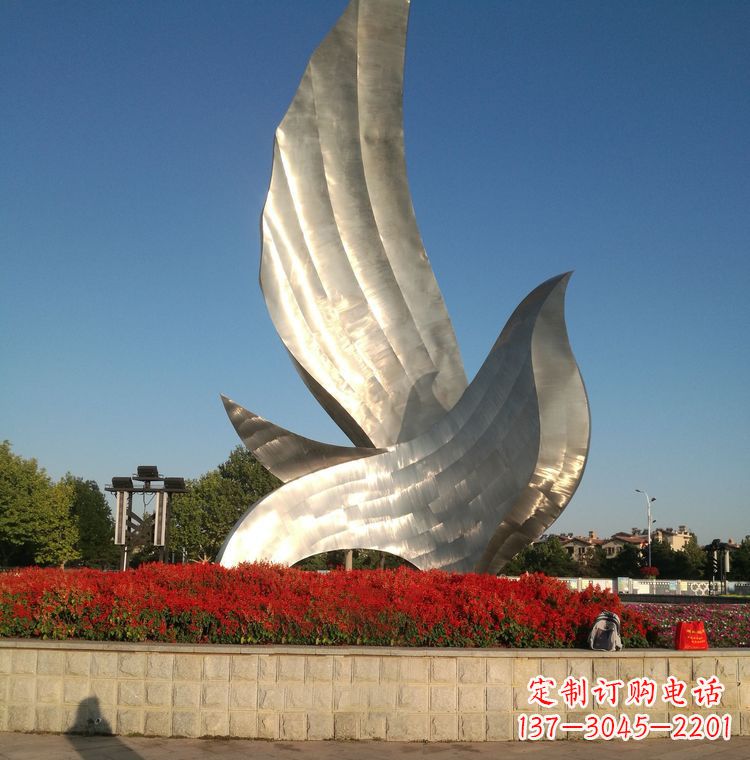 湖南“鸽子之恋”——让爱飞翔