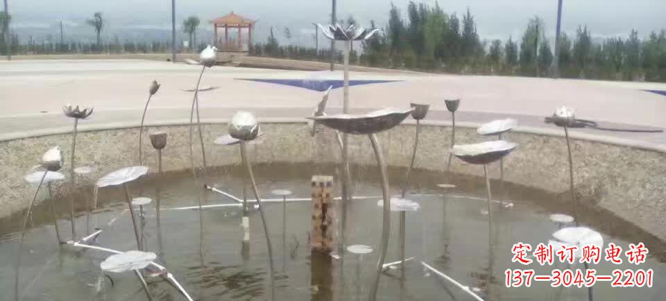 湖南不锈钢抽象荷花雕塑1