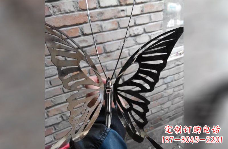 湖南不锈钢抽象蝴蝶