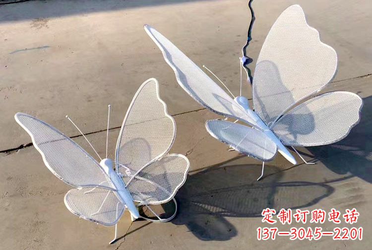 湖南不锈钢钢丝网格蝴蝶雕塑摆件,可加灯带