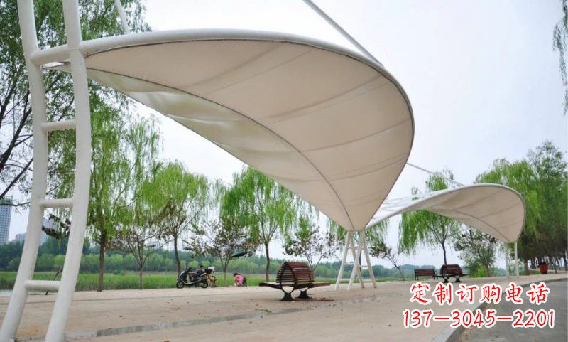 湖南不锈钢广场树叶形遮阳棚雕塑