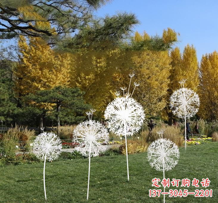 湖南不锈钢蒲公英景观雕塑