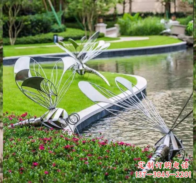 湖南不锈钢蜻蜓一件完美的动物雕塑