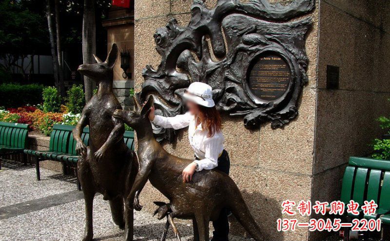 湖南袋鼠雕塑——装点步行街的美丽风景