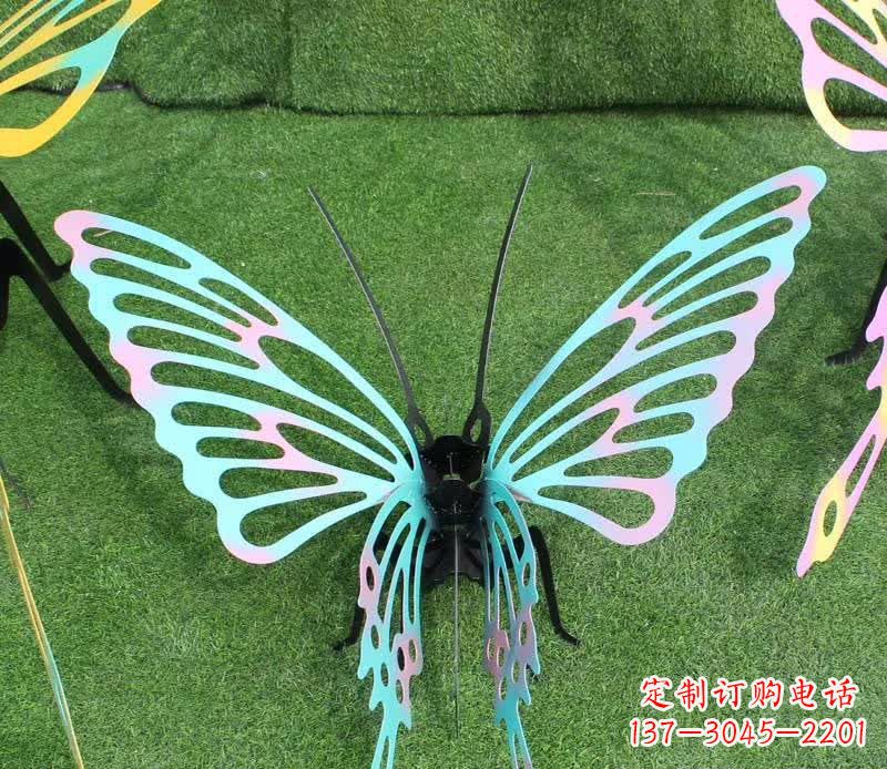 湖南彩色不锈钢镂空蝴蝶雕塑