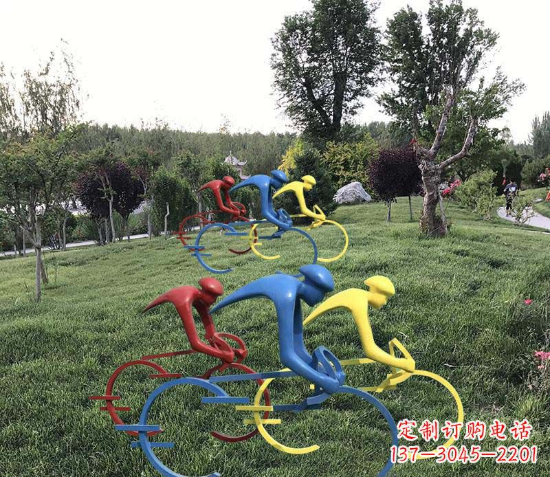 湖南抽象骑自行车公园景观雕塑