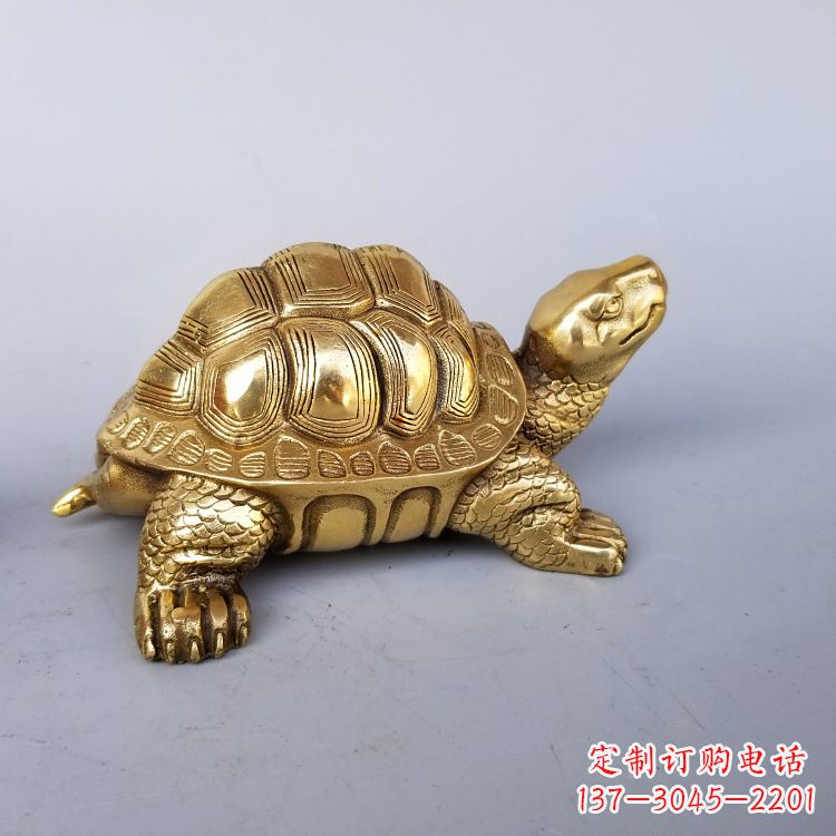 湖南静谧的纯铜乌龟雕塑