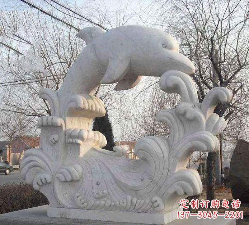 湖南大理石公园景观海豚浪花