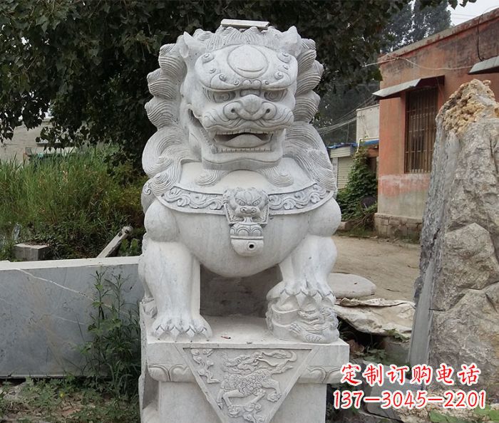 湖南精美狮子雕塑,拥有震撼心灵的魅力