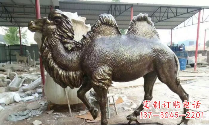 湖南动物骆驼铜雕