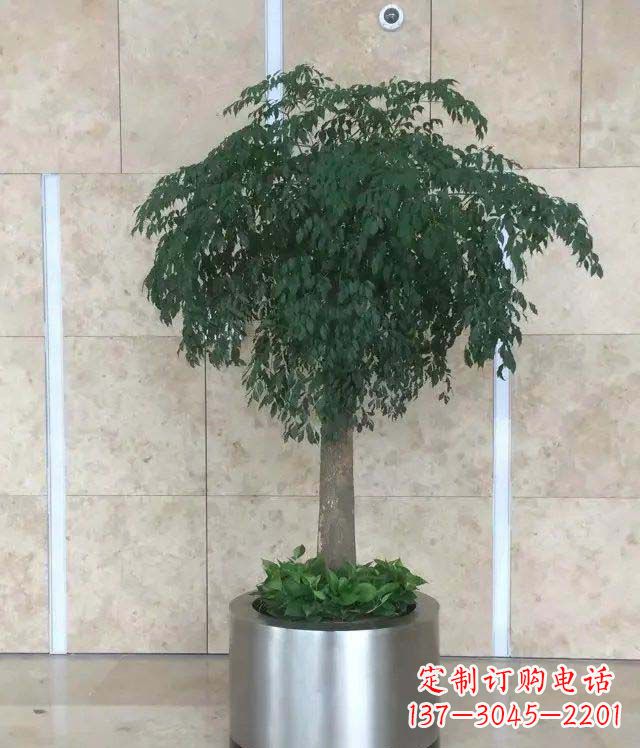 湖南公司不锈钢花盆景观雕塑