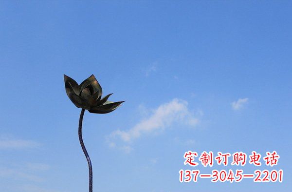 湖南公园不锈钢荷花雕塑
