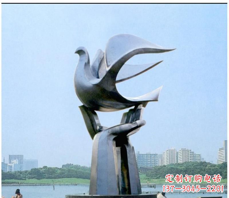 湖南静谧之鸽,传递和平象征~