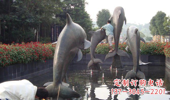 湖南铜雕海豚——传递着海洋之美的艺术作品