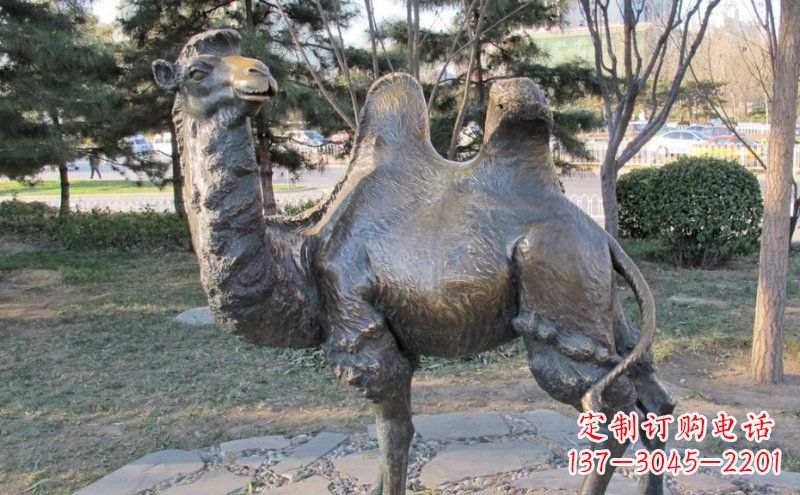 湖南公园骆驼动物铜雕 (4)