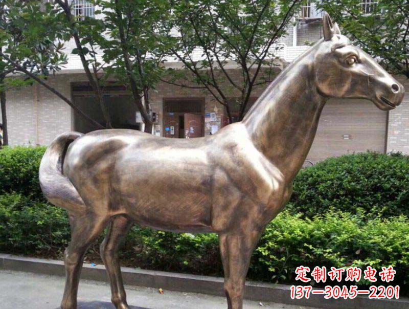 湖南精美铜雕动物
