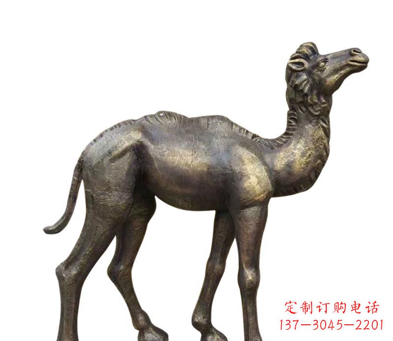 湖南公园小骆驼铜雕