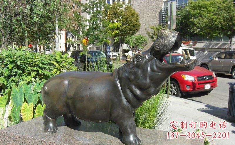 湖南街边河马景观铜雕
