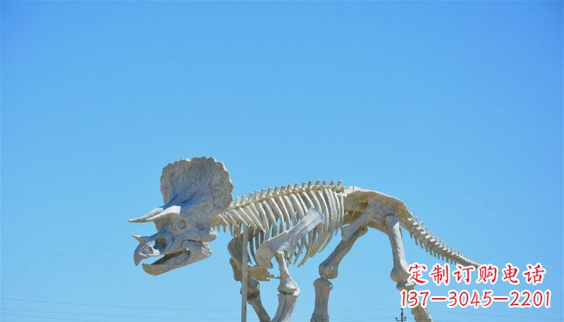 湖南玻璃钢恐龙雕塑——悠久历史瑰宝