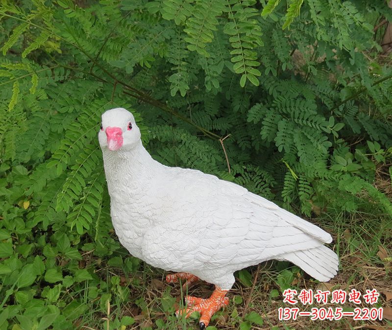湖南灵鸽雕塑鸽子呢