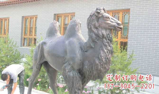 湖南精美的骆驼铜雕,提升您的公园气质