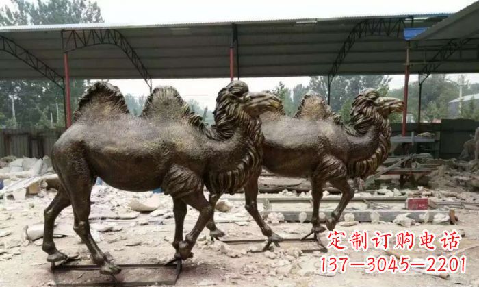 湖南典雅优美的骆驼铜雕