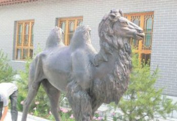 湖南精美的骆驼铜雕，提升您的公园气质