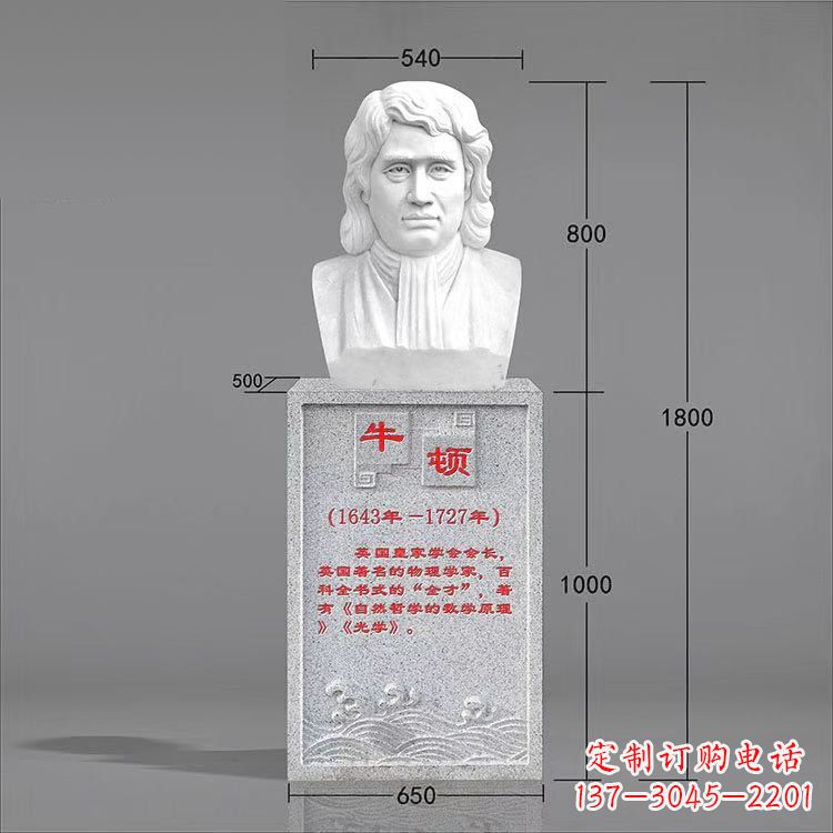 湖南艺术精灵:牛顿汉白玉石头像雕塑