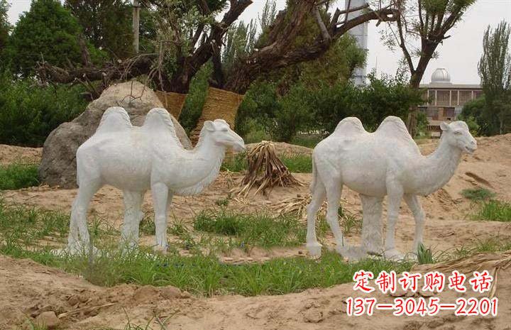 湖南欣赏大自然,石雕骆驼公园动物雕塑邀请您