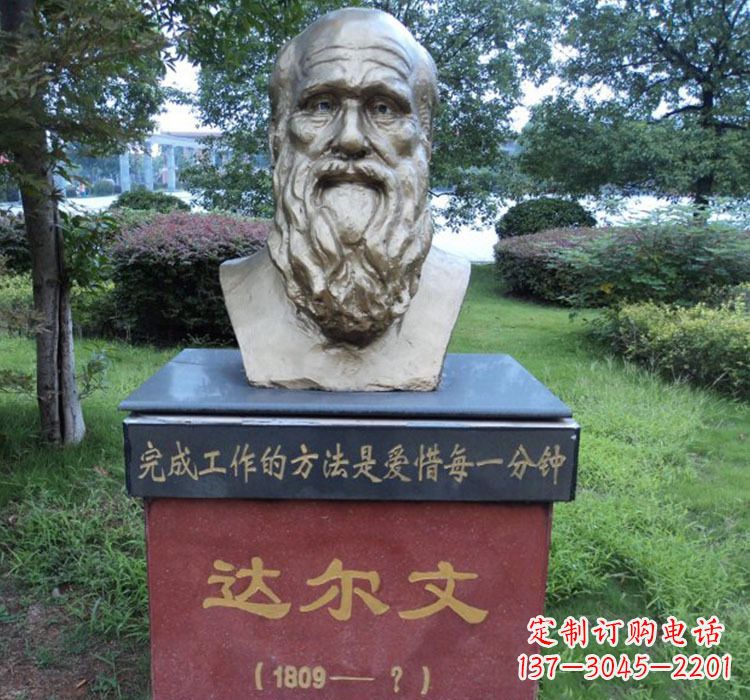湖南铜雕达尔文头像雕塑