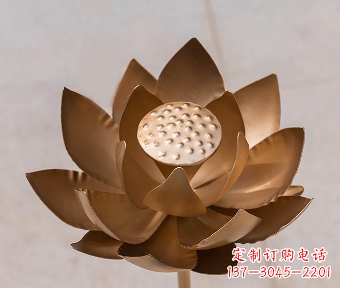 湖南铜雕景观荷花
