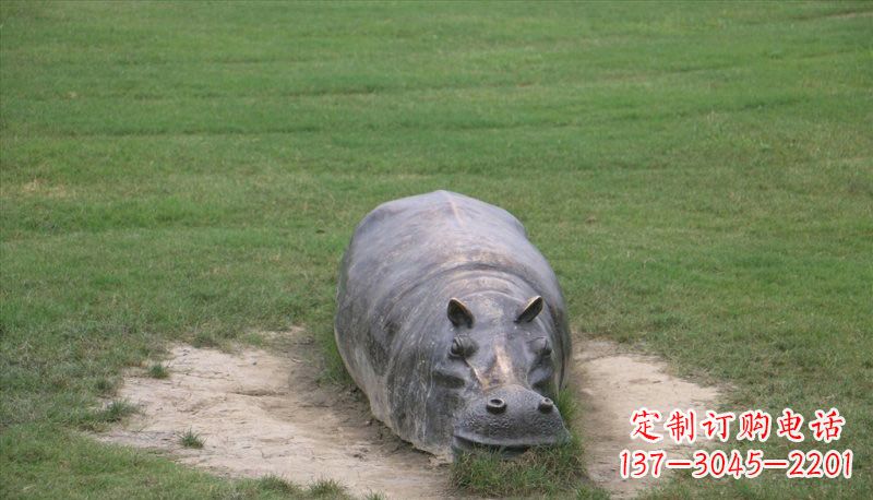 湖南铜雕趴着的河马