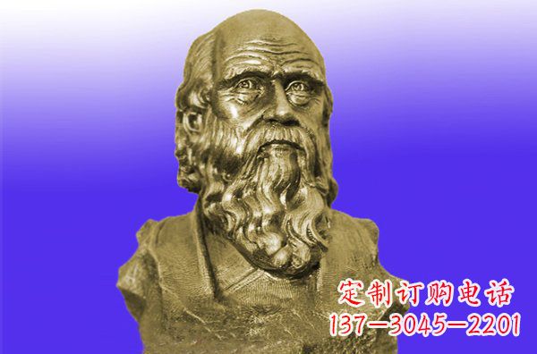 湖南托尔斯泰头像铜雕