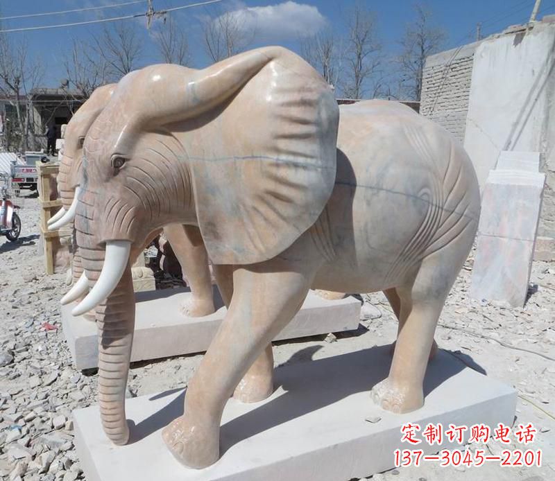 湖南晚霞红卷鼻大象