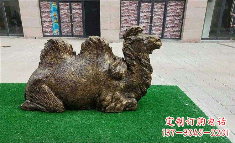 湖南卧着的骆驼动物铜雕