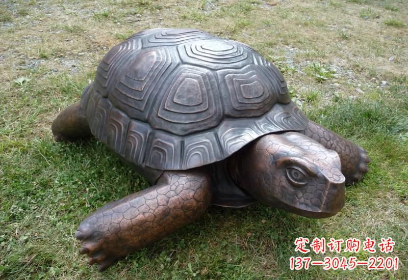 湖南乌龟铜雕222