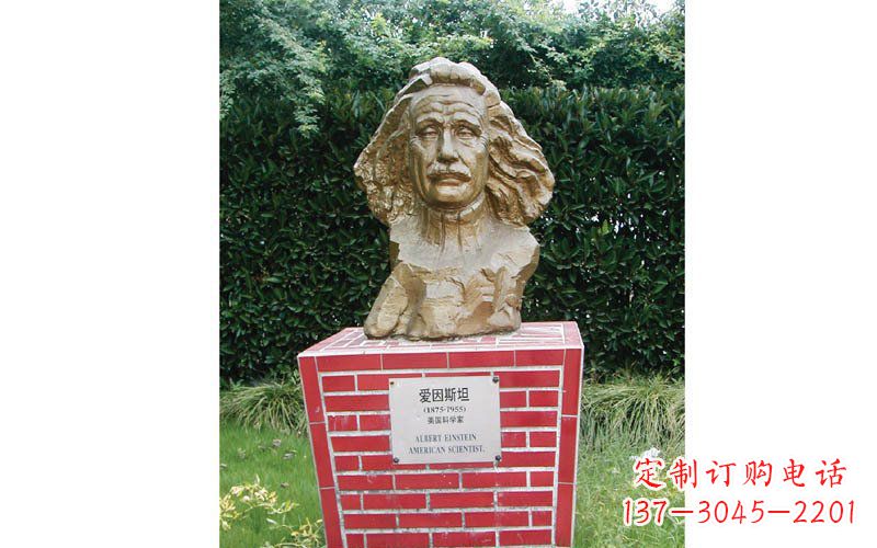 湖南西方名人爱因斯坦头像铜雕