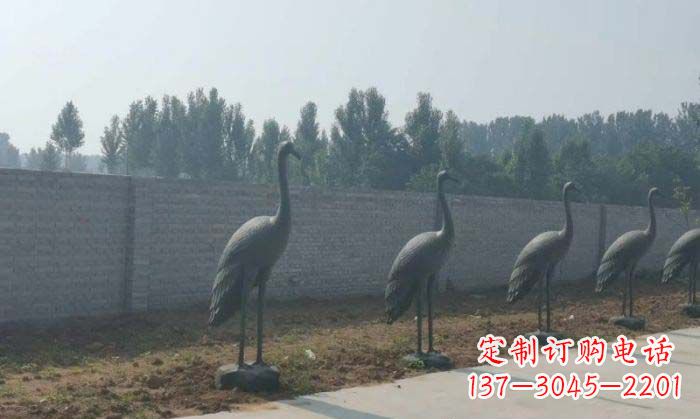 湖南仙鹤抽象铜雕 (2)