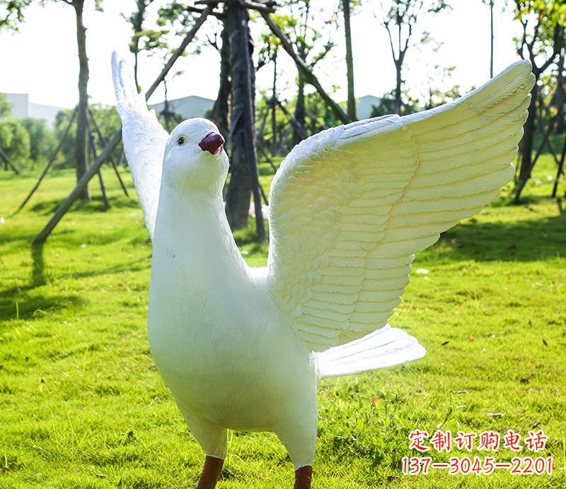 湖南校园和平鸽雕塑