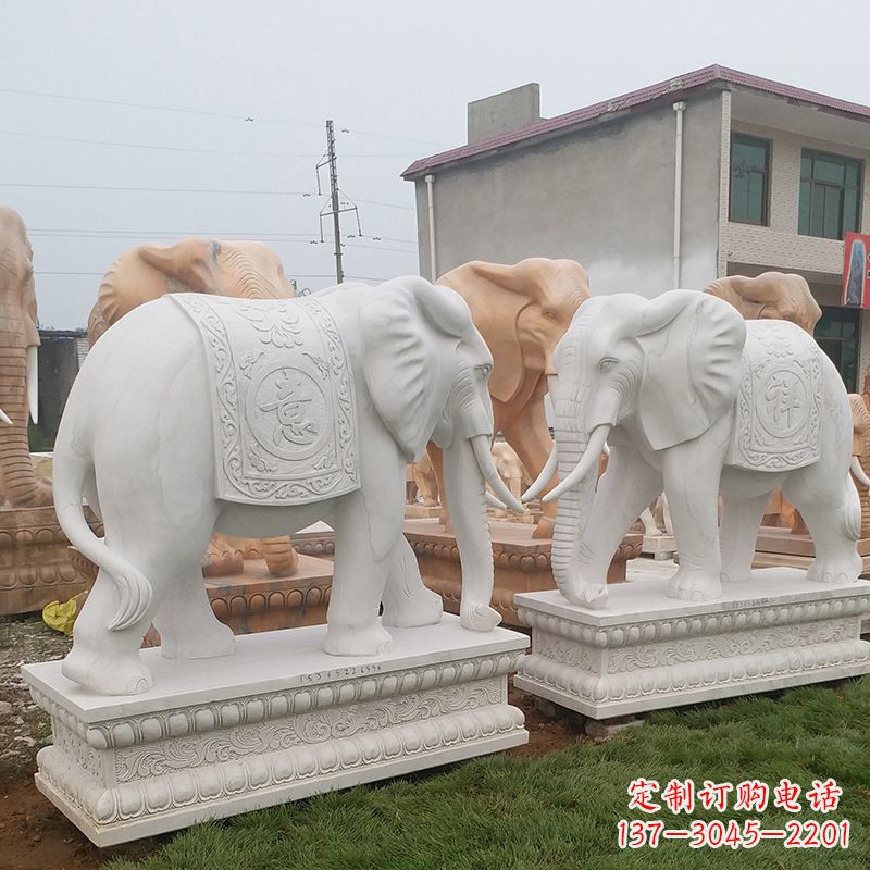 湖南学校石雕大象