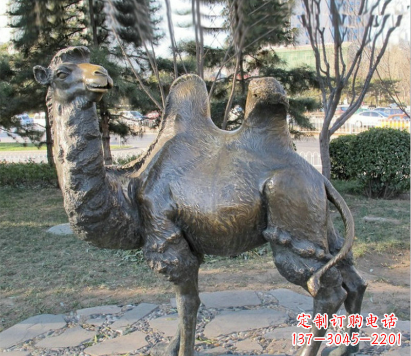 湖南骆驼铜雕塑